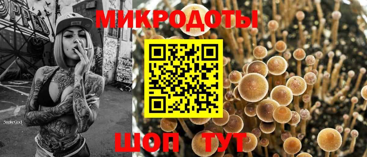 Псилоцибиновые грибы MAGIC MUSHROOMS Рославль